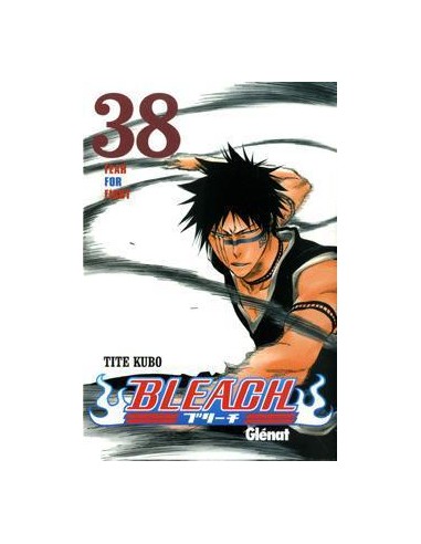 Bleach 38 (Comic)