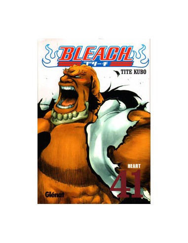 Bleach 41 (Comic)