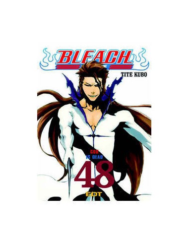 Bleach 48 (Comic)