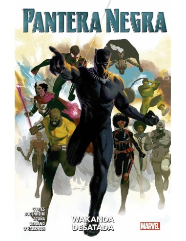 Pantera negra 4: Wakanda desatada