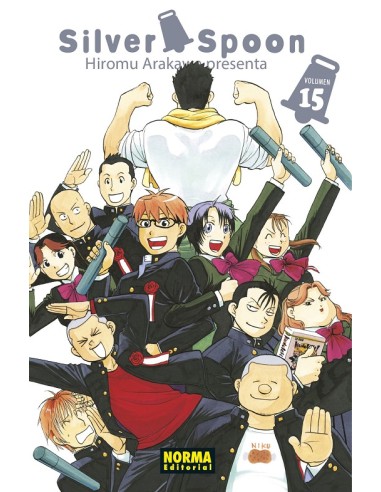 Silver spoon 15