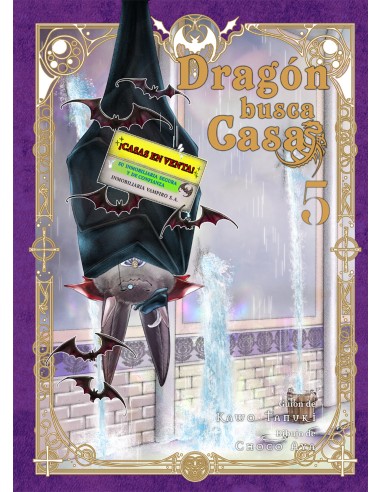 Dragón busca casa 05