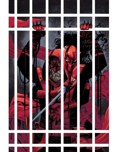 Daredevil 38: Daredevil 5