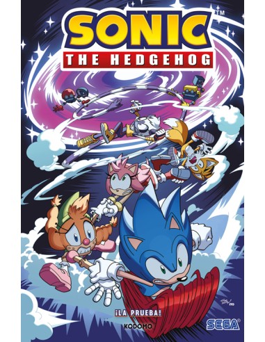 Sonic The Hedgehog: ¡La prueba!