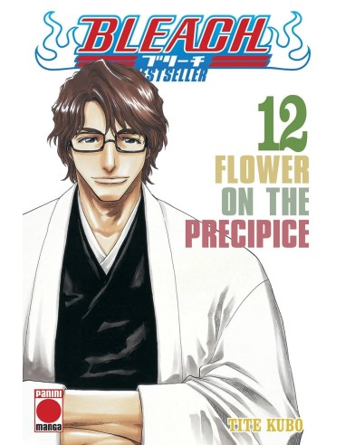 Bleach bestseller 12