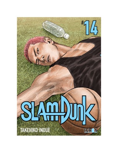 Slam dunk new edition 14