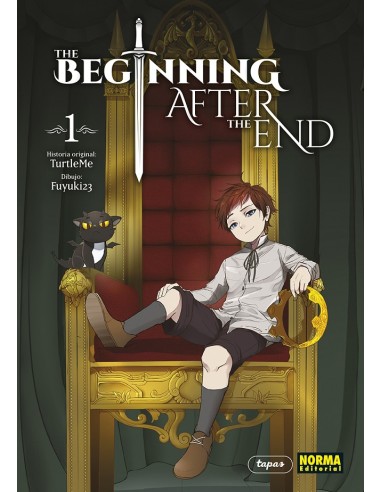 The beginning after the end 01