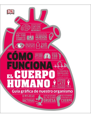 Cómo funciona el cuerpo humano