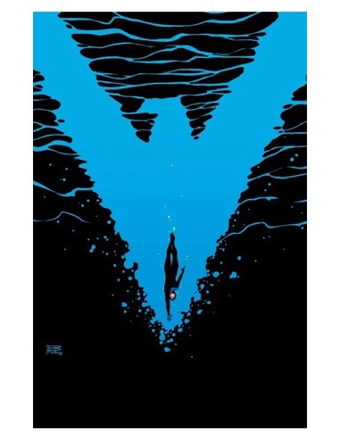 Nightwing núm 35