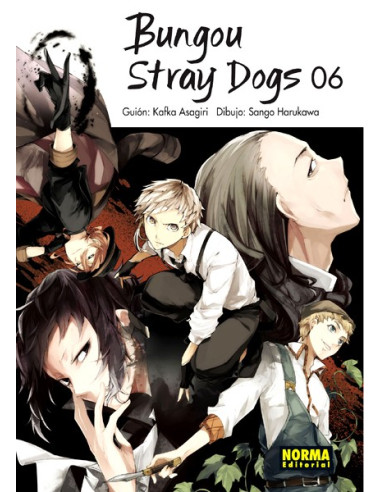 Bungou stray dogs 06