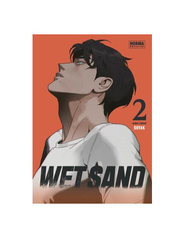 Wet sand 02