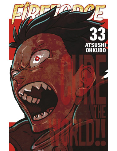 Fire force 33