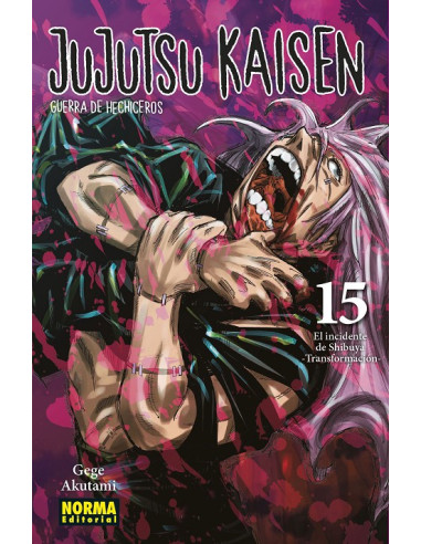 Jujutsu Kaisen 15