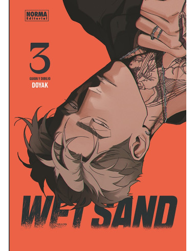 Wet sand 03