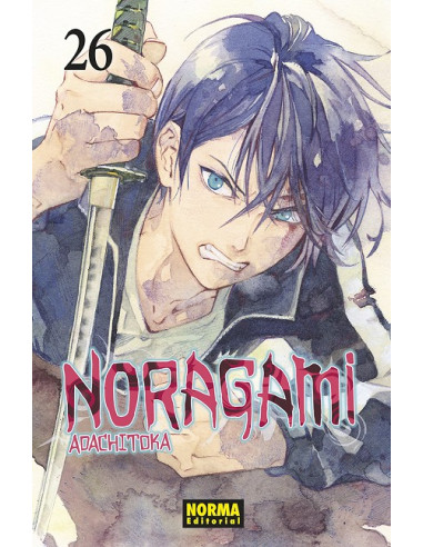 Noragami 27 ed.especial