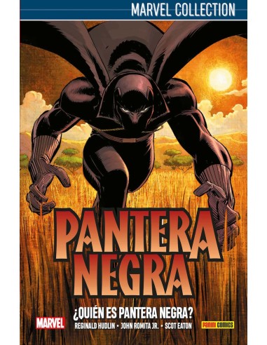 Pantera Negra de Hudlin 1: ¿Quién es Pantera Negra?