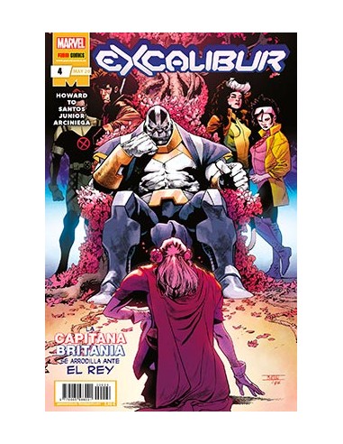 Excalibur 04