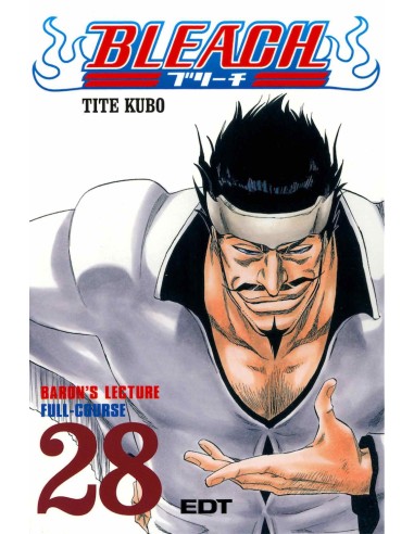 Bleach 28 (Comic)