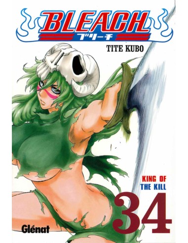 Bleach 34 (Comic)