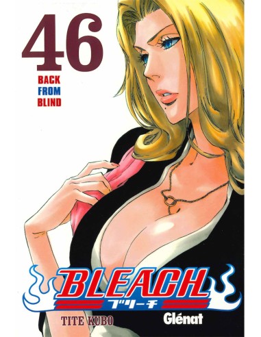 Bleach 46 (Comic)