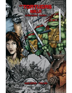 Pin by Antonio Artaza on el ascenso de las Tortugas Ninja  Teenage mutant  ninja turtles art, Teenage ninja turtles, Teenage mutant ninja turtles  artwork